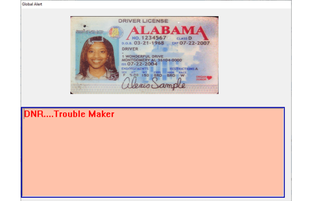 Shadow Writer Guest Alert